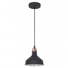 Светильник подвесной Camelion Amsterdam LOFT PL-425S C62